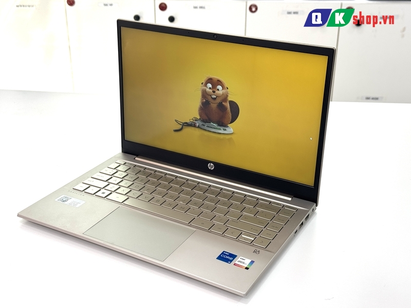 Laptop HP Pavilion 14 - DV2073TU Core I5 - 1235U / RAM 8GB / SSD 512GB PCIE / 14.0 FHD